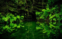 пруд, лес, зелень