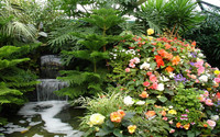 водопад, цвети, ландшафтный дизайн