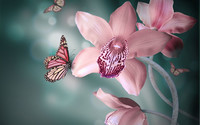 орхидея, фэнтези, фотошоп, бабочки, макро